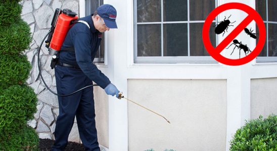 Eleşkirt Akrep İlaçlama böcek ilaçlama ve haşere kontrolü — ilaclama-tr.com